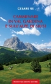 CAMMINARE IN VAL GARDENA E SULLALPE DI SIUSI di Cesare Re