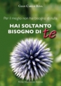 Hai soltanto bisogno di te di Gian Carlo Bina 